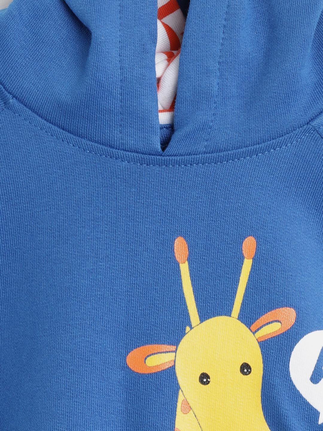 Boys Blue Coloured Printed Sweatshirt
