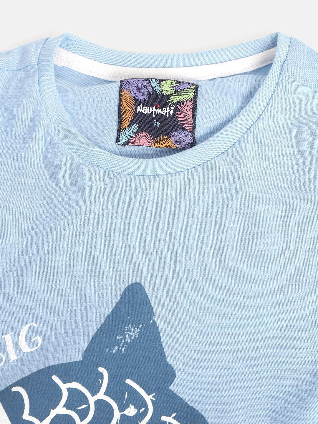 Boys Blue Coloured Printed Tshirt