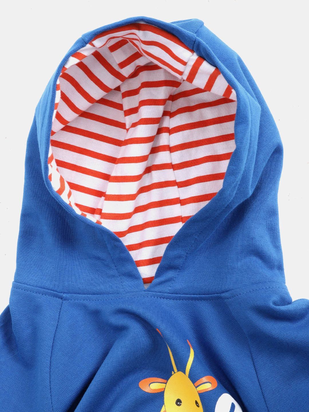 Boys Blue Coloured Printed Sweatshirt